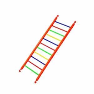 Colourful Bird Ladder – 11-Step Climbing Toy for Small Parrots