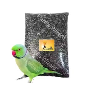 Sunflower Seed Bird Food, 450g – Nutritious Dry Bird Feed