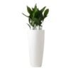 Minimalist black and white 14 inch planter pot with clean architectural lines placed in a modern indoor setting