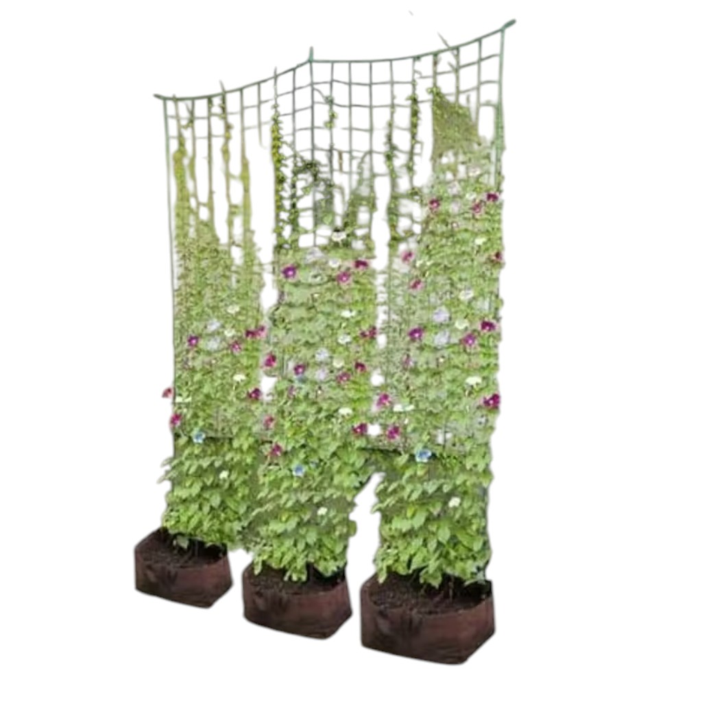 Creeper Plant Support Net – Garden Climbing Vine Trellis Net - Image 3